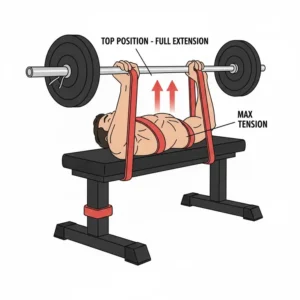 A lifter holding the bench band press in the top, fully extended position.
